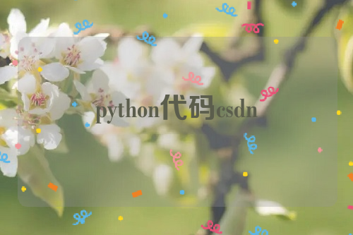 python代码csdn