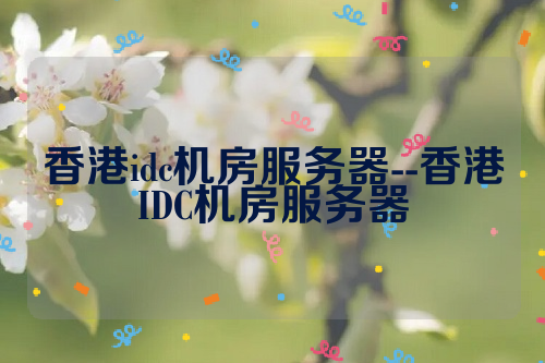 香港idc机房服务器--香港IDC机房服务器