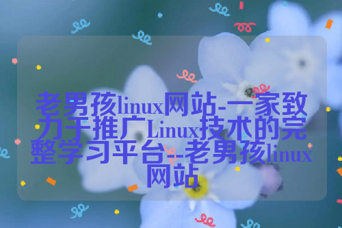 老男孩linux网站-一家致力于推广Linux技术的完整学习平台--老男孩linux网站