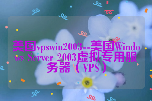 美国vpswin2003--美国Windows Server 2003虚拟专用服务器（VPS）