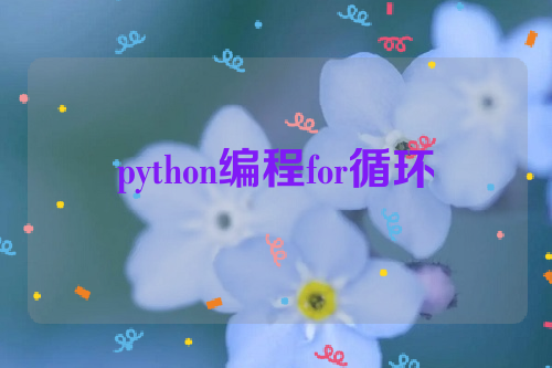 python编程for循环