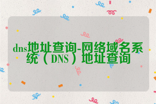 dns地址查询-网络域名系统（DNS）地址查询