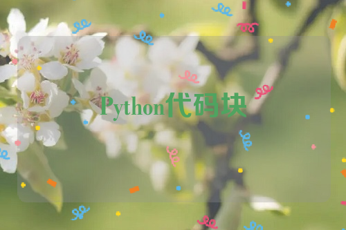 Python代码块