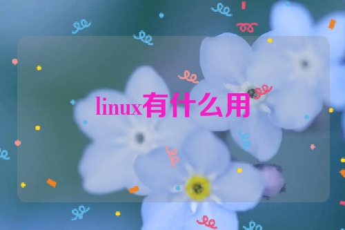linux有什么用